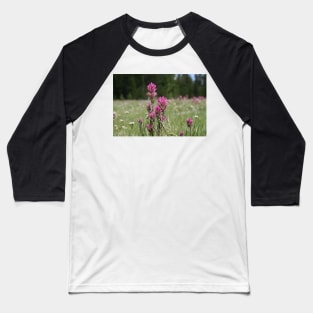 Indian Paintbrush Flower Baseball T-Shirt